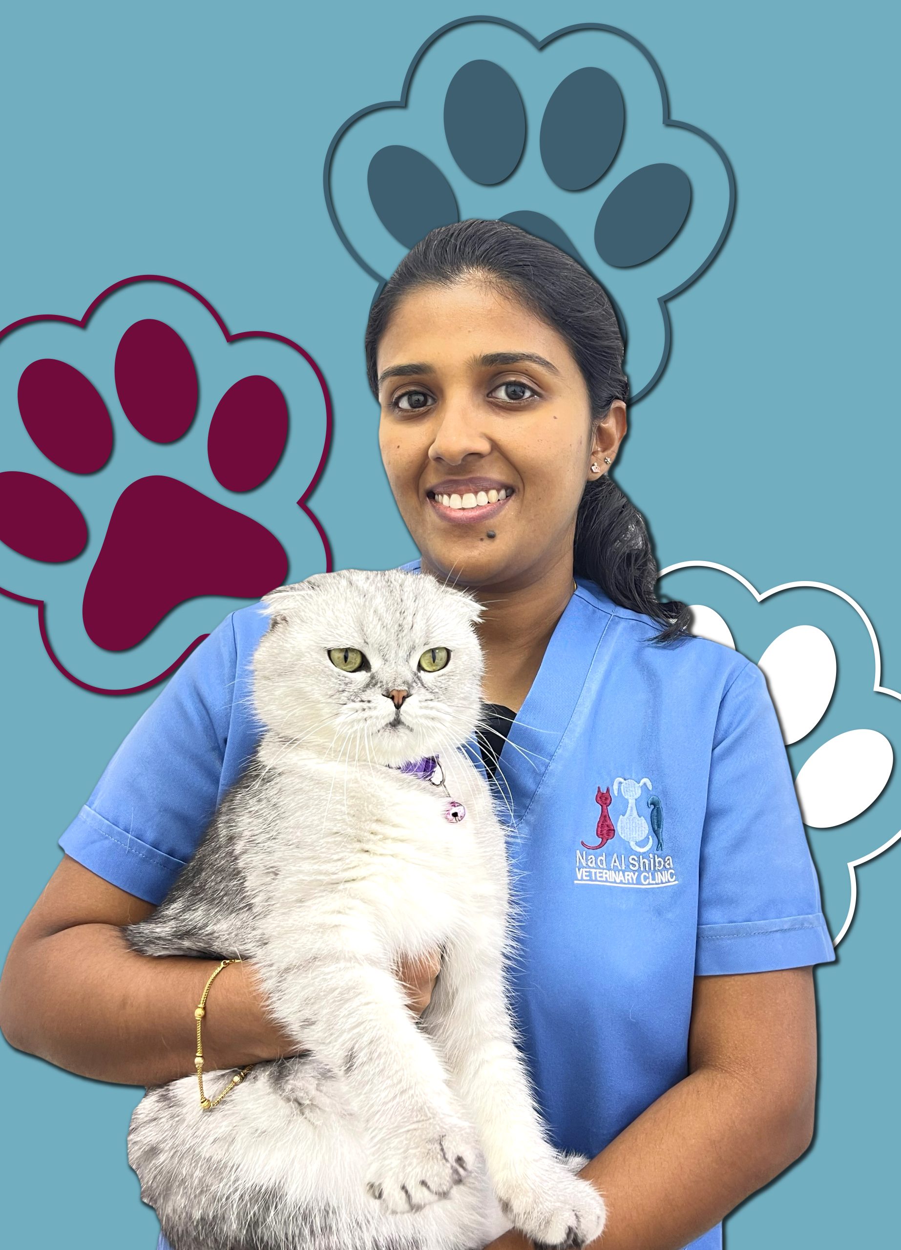 Anjana – Sky Blue BG-01